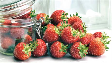 Top 25 Fruit Producers 2026: 1-5